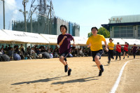 DSC00489
